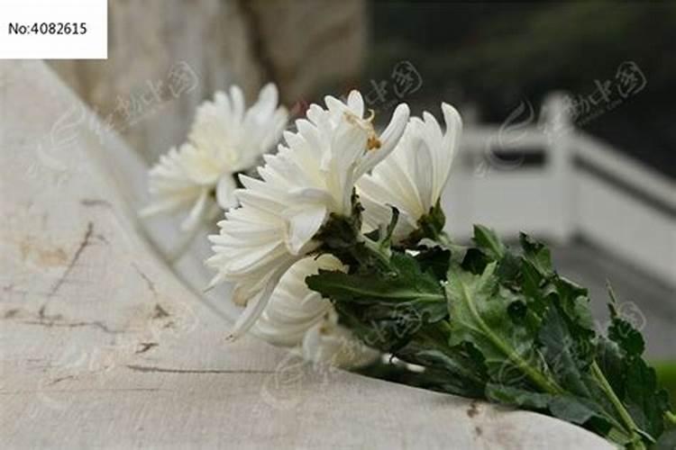 梦到很多墓地墓碑送了一束花