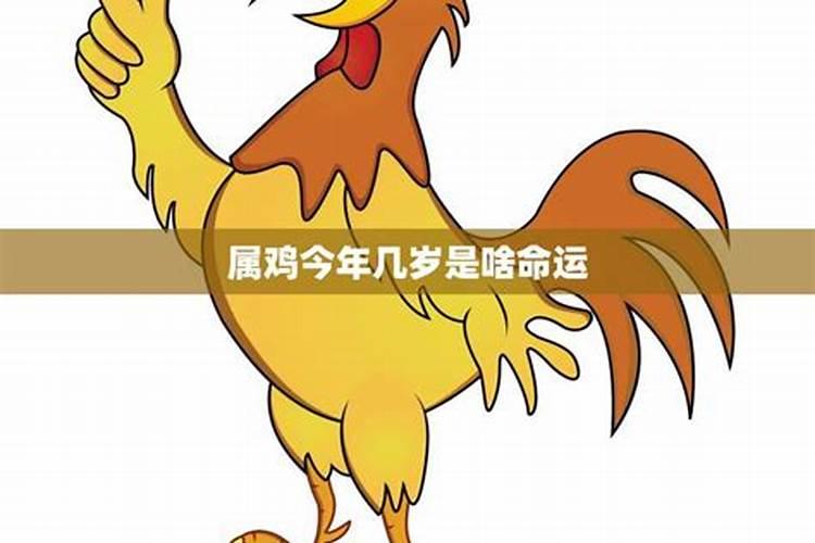 2023年属鸡的运气和财运怎么样