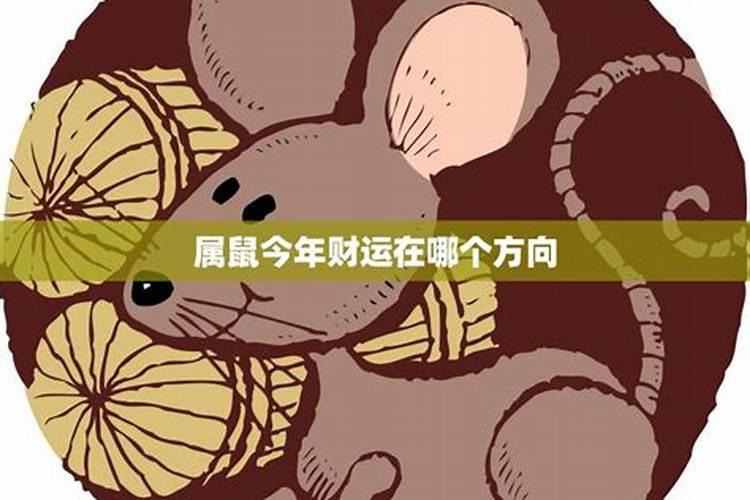 属鼠的今日运势生财方位