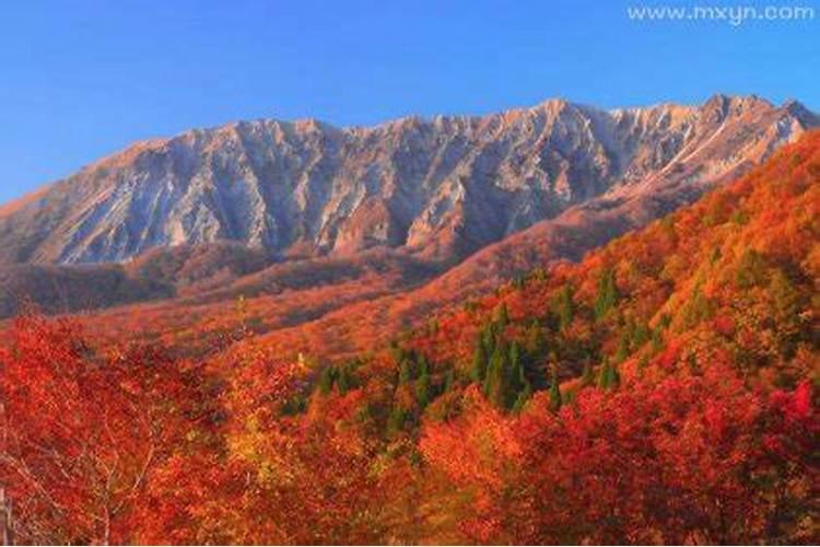 梦见大山是什么意思周公解梦女人