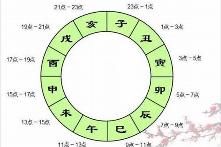 卯时和亥时合婚吗