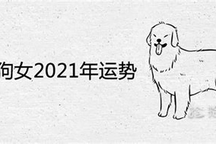 82年的狗在2023年的运势