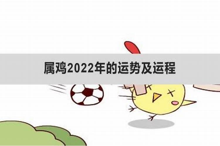 属鸡2022运势年运势