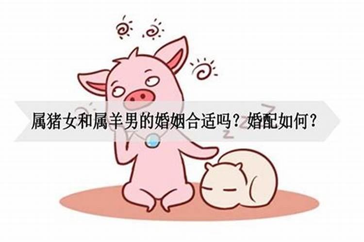 女属猪男属猪配吗