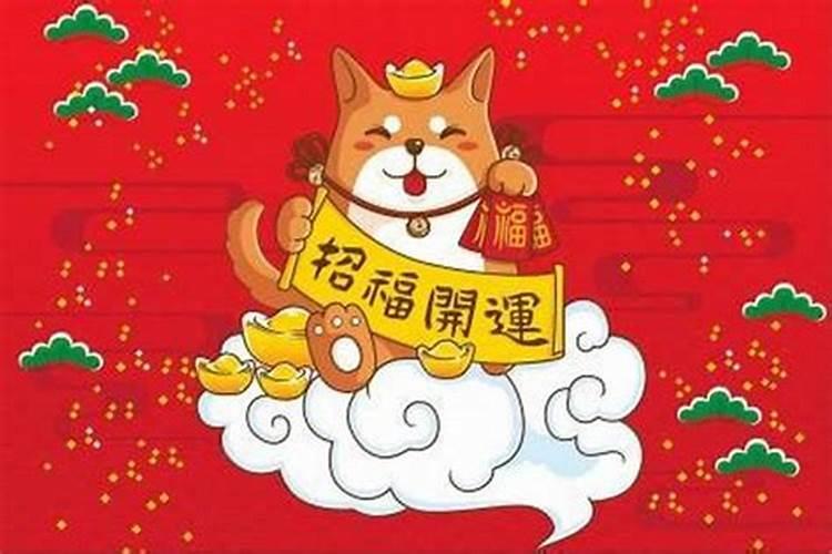 属狗人在什么年运势不好