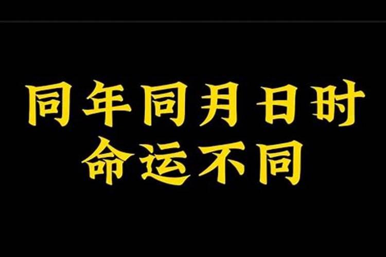 同年同月同日出生的人八字相合吗