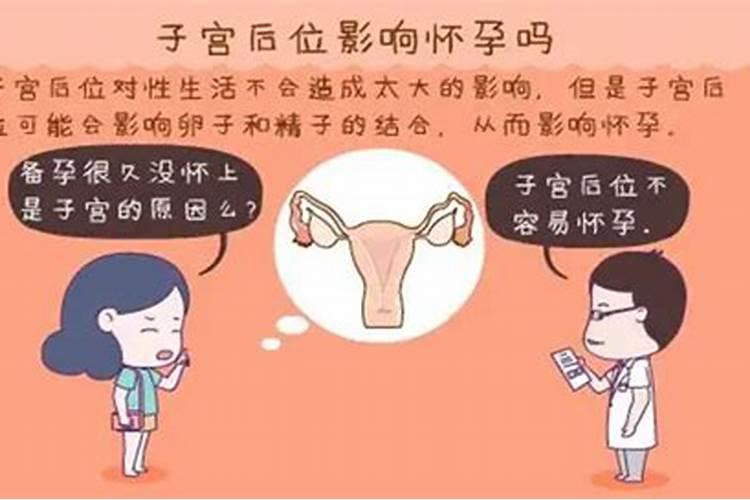 梦见什么是受孕成功了