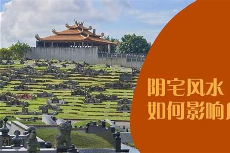 属马66年的2024年运程