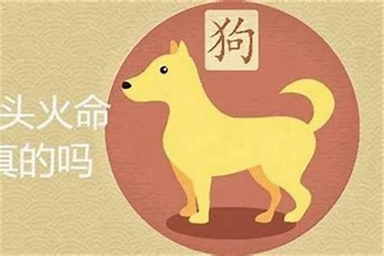 94年属狗的犯几月