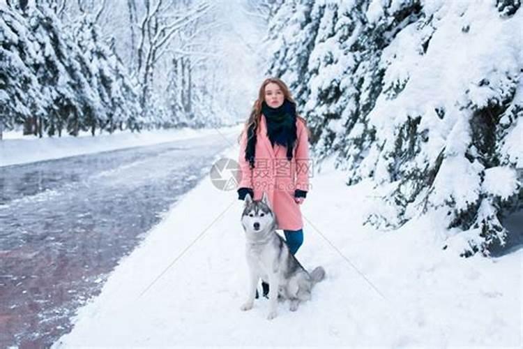 梦见下雪和狗在一起
