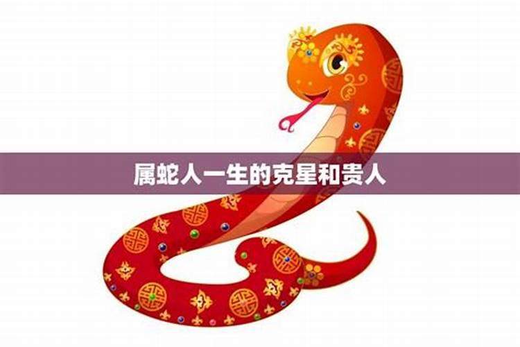 做梦梦见大红公鸡