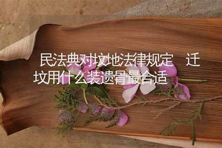 属兔和鸡的合婚可以吗