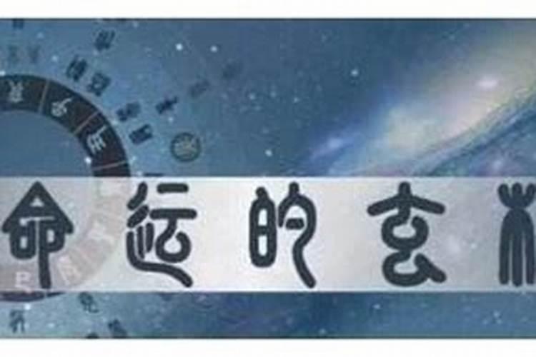 八字十神组合解析