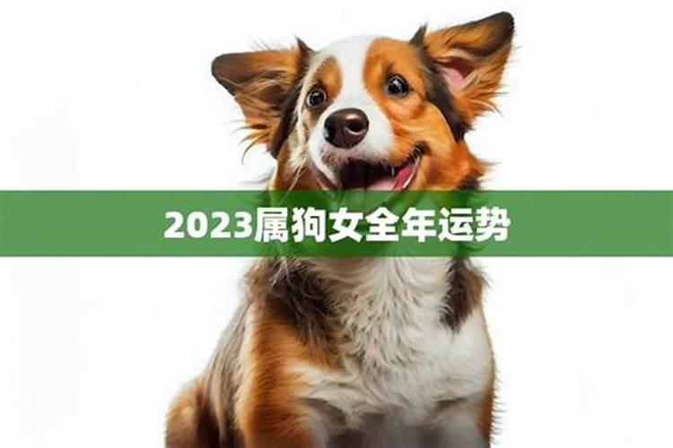 2023属狗全年运势1994