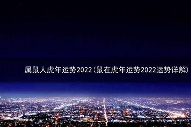 鼠人虎年运势2022运势详解