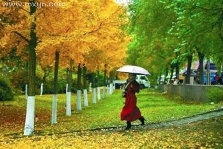 女性梦到下雨预示什么