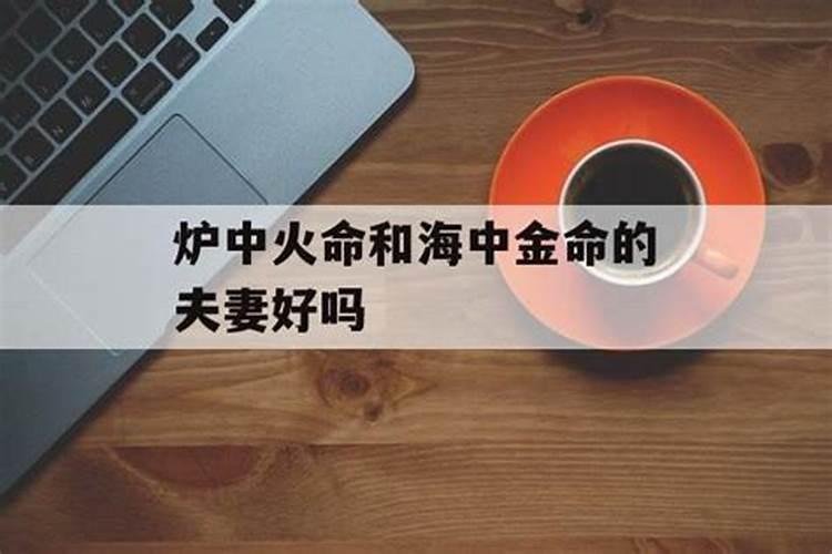 海中金跟炉中火合婚吗