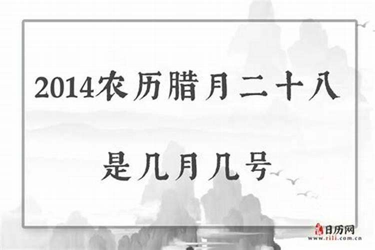 日柱己未日生人2024年运程