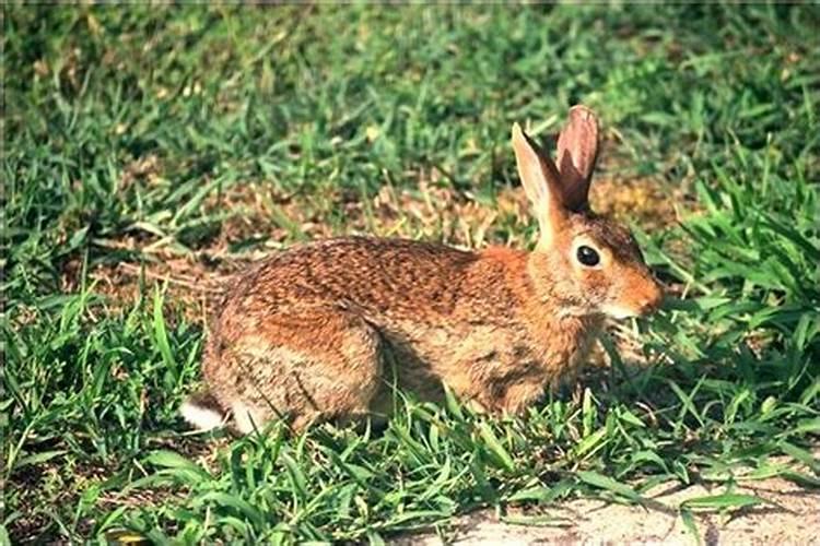 广州中秋节放烟花几月几日