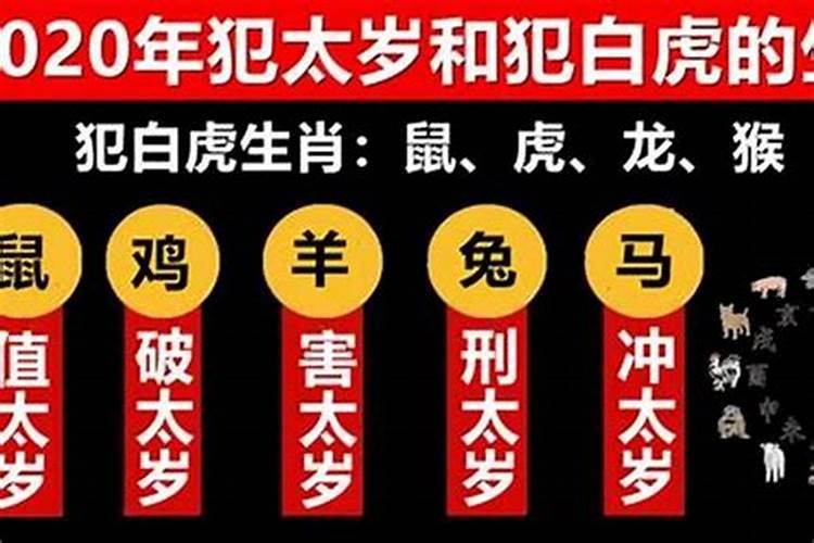 鼠年2020年犯太岁的属相是