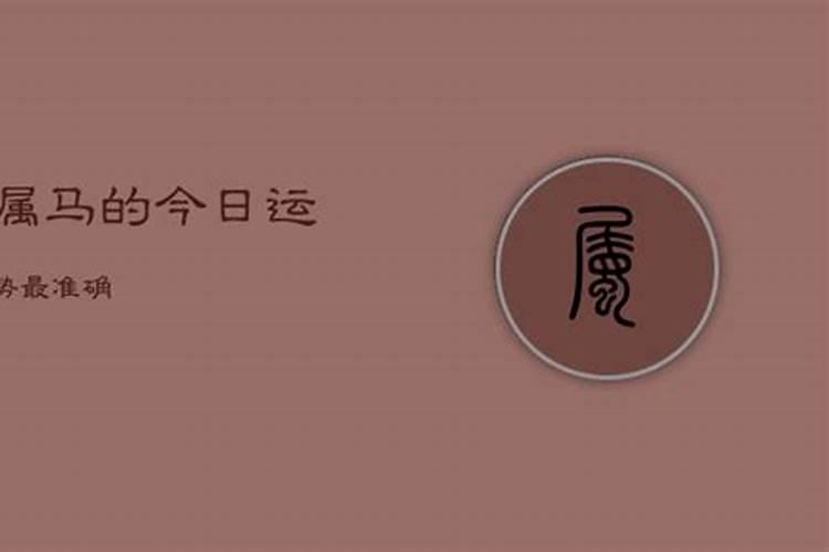 属马今日运势查询2021年运程