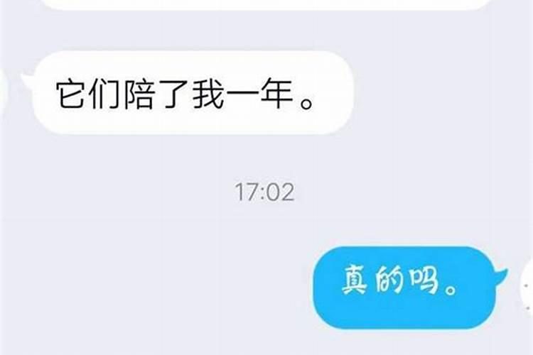 梦见我已故的老公