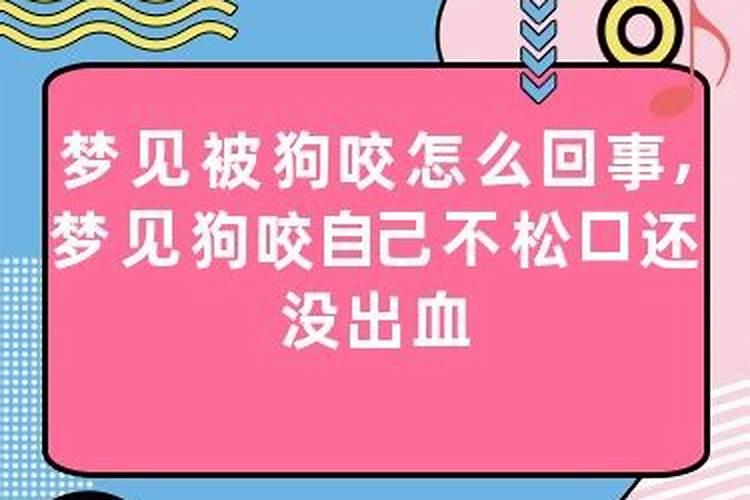 梦见车掉坑里是什么意思,人没事