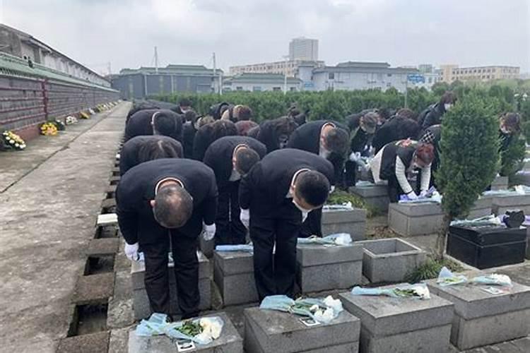 79年女人在2024年的运势