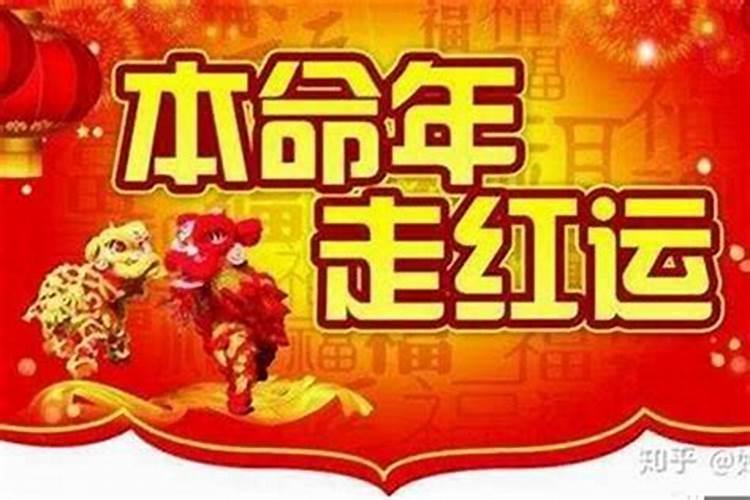 兔年羊犯太岁吗怎么破解