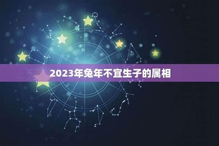 2023年兔年不宜生子的属相有哪些生肖