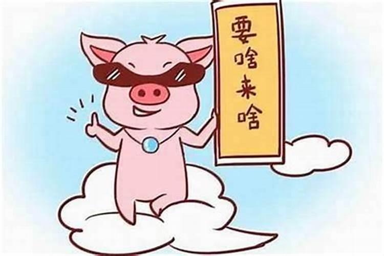 属猪2021年结婚好不好