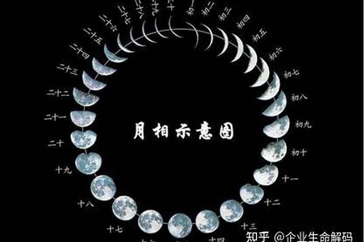 2023年属兔值太岁是什么生肖